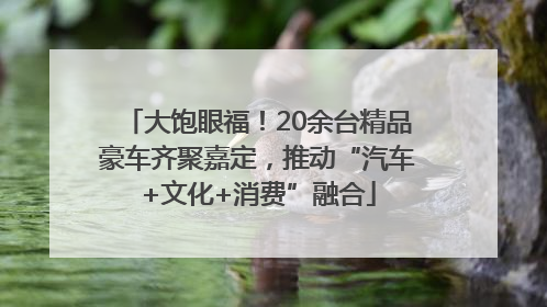 大饱眼福！20余台精品豪车齐聚嘉定，推动“汽车+文化+消费”融合