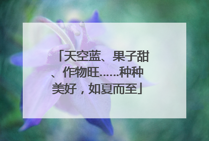 天空蓝、果子甜、作物旺……种种美好，如夏而至