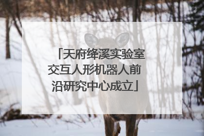 天府绛溪实验室交互人形机器人前沿研究中心成立