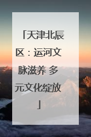 天津北辰区：运河文脉滋养 多元文化绽放