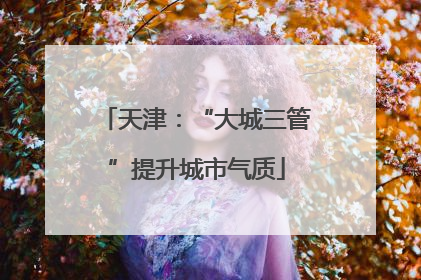 天津：“大城三管”提升城市气质