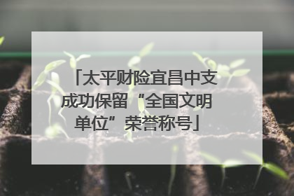 太平财险宜昌中支成功保留“全国文明单位”荣誉称号