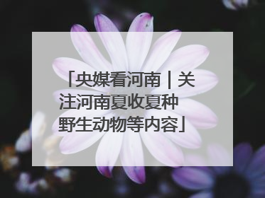 央媒看河南｜关注河南夏收夏种 野生动物等内容