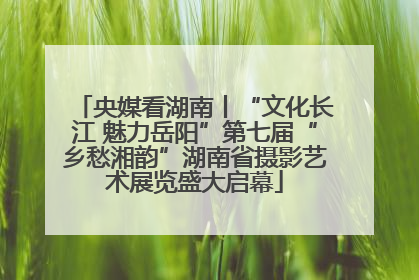 央媒看湖南丨“文化长江 魅力岳阳”第七届“乡愁湘韵”湖南省摄影艺术展览盛大启幕