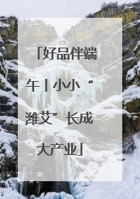 好品伴端午丨小小“潍艾”长成大产业