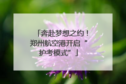 奔赴梦想之约！郑州航空港开启“护考模式”