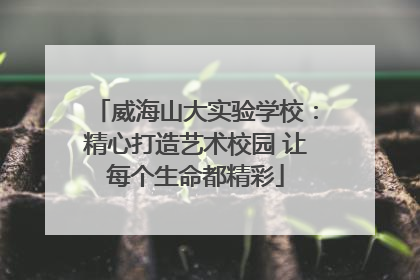 威海山大实验学校：精心打造艺术校园 让每个生命都精彩