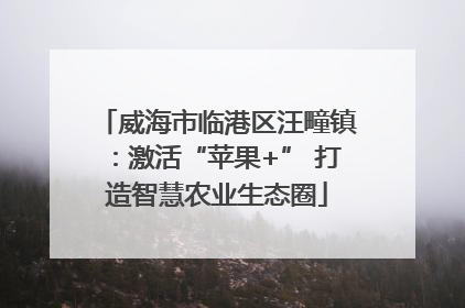 威海市临港区汪疃镇：激活“苹果+” 打造智慧农业生态圈