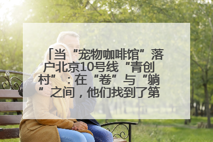 当“宠物咖啡馆”落户北京10号线“青创村”：在“卷”与“躺”之间，他们找到了第三种生活公式
