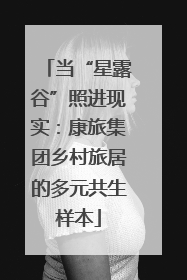 当“星露谷”照进现实：康旅集团乡村旅居的多元共生样本
