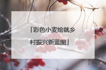 彩色小麦绘就乡村振兴新蓝图