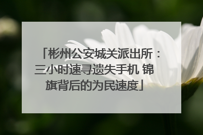 彬州公安城关派出所：三小时速寻遗失手机 锦旗背后的为民速度