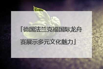 德国法兰克福国际龙舟赛展示多元文化魅力