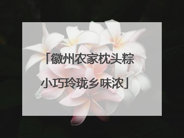 徽州农家枕头粽 小巧玲珑乡味浓
