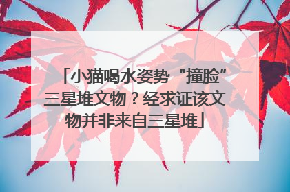 小猫喝水姿势“撞脸”三星堆文物？经求证该文物并非来自三星堆