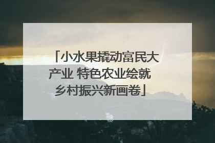 小水果撬动富民大产业 特色农业绘就乡村振兴新画卷