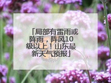 局部有雷雨或阵雨，阵风10级以上！山东最新天气预报