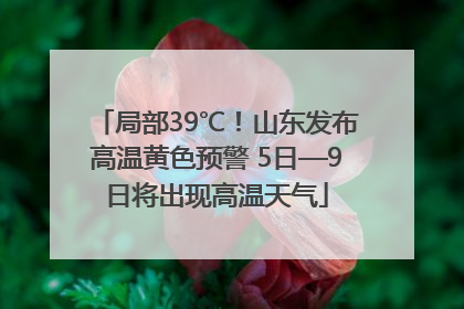 局部39℃！山东发布高温黄色预警 5日—9日将出现高温天气