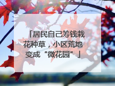 居民自己筹钱栽花种草，小区荒地变成“微花园”