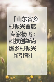 山东省乡村振兴首席专家杨飞：科技创新点燃乡村振兴新引擎