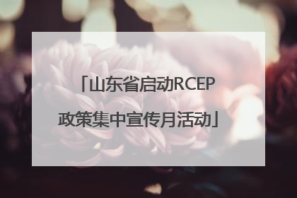 山东省启动RCEP政策集中宣传月活动