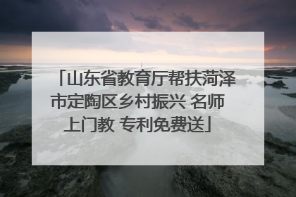 山东省教育厅帮扶菏泽市定陶区乡村振兴 名师上门教 专利免费送