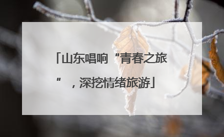 山东唱响“青春之旅”，深挖情绪旅游