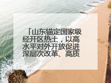 山东锚定国家级经开区热土，以高水平对外开放促进深层次改革、高质量发展