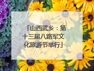 山西武乡：第十三届八路军文化旅游节举行