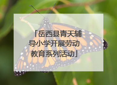 岳西县青天辅导小学开展劳动教育系列活动