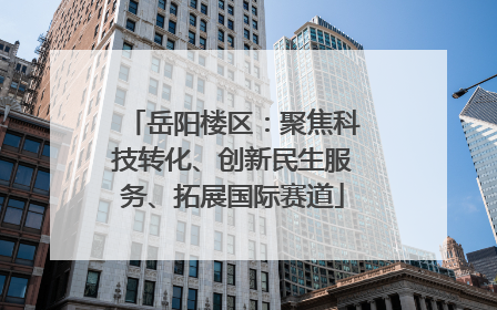 岳阳楼区：聚焦科技转化、创新民生服务、拓展国际赛道