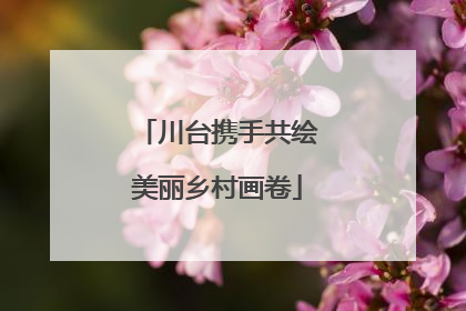 川台携手共绘美丽乡村画卷