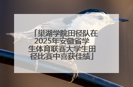 巢湖学院田径队在2025年安徽省学生体育联赛大学生田径比赛中喜获佳绩