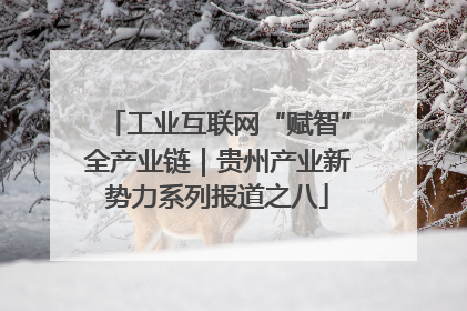 工业互联网“赋智”全产业链｜贵州产业新势力系列报道之八