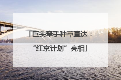 巨头牵手种草直达：“红京计划”亮相