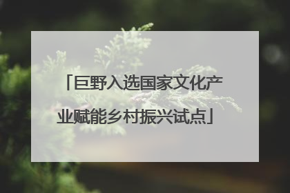巨野入选国家文化产业赋能乡村振兴试点
