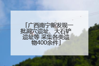 广西南宁新发现一批洞穴遗址、大石铲遗址等 采集各类遗物400余件