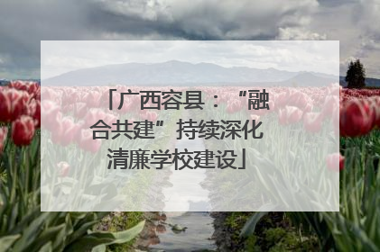 广西容县：“融合共建”持续深化清廉学校建设