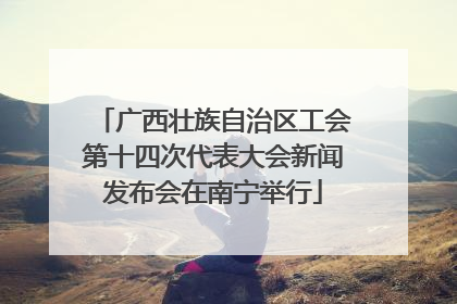 广西壮族自治区工会第十四次代表大会新闻发布会在南宁举行