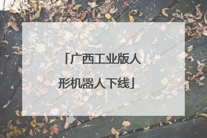 广西工业版人形机器人下线