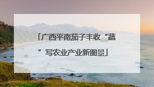 广西平南茄子丰收“蔬”写农业产业新图景