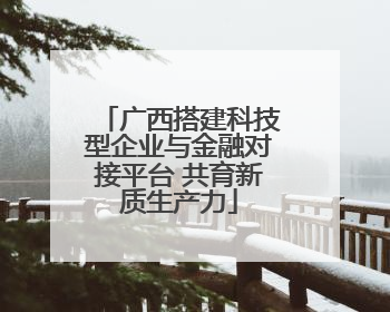 广西搭建科技型企业与金融对接平台 共育新质生产力