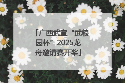 广西武宣“武粮园杯”2025龙舟邀请赛开桨