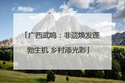 广西武鸣：非遗焕发蓬勃生机 乡村添光彩