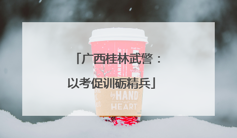 广西桂林武警：以考促训砺精兵