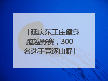 延庆东王庄健身跑越野赛，300名选手竞逐山野
