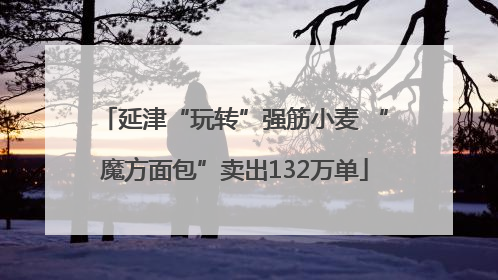 延津“玩转”强筋小麦 “魔方面包”卖出132万单