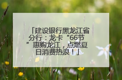 建设银行黑龙江省分行：龙卡“66节”惠购龙江，点燃夏日消费热浪！