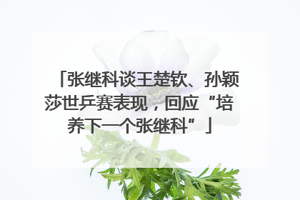 张继科谈王楚钦、孙颖莎世乒赛表现，回应“培养下一个张继科”