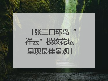 张三口环岛“祥云”模纹花坛呈现最佳景观
